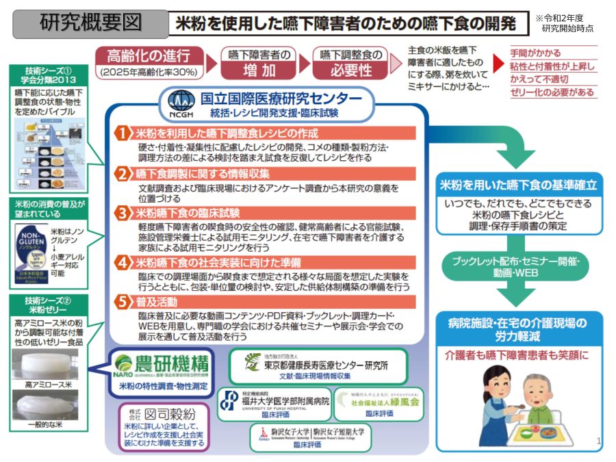 図1:研究概要図
